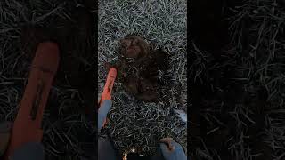 16 Short Bolt