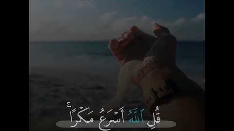 حالات واتس اب دينيه القارئ عمر الدريويز