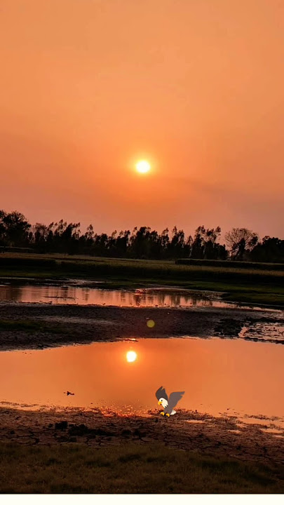 #disco #music #remix #dj #motivation #nostalgia #quotes #treding #popular #yt#gk#upsc #ssc