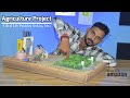 How to make drip irrigation project  agriculture model science project agriculture diy science