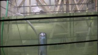 2009 Drifter Testing