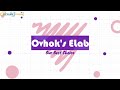 Ovhok's E-Lab Tutorial 28 - Out Sourced Report | Software Tutorial | Billing Interface