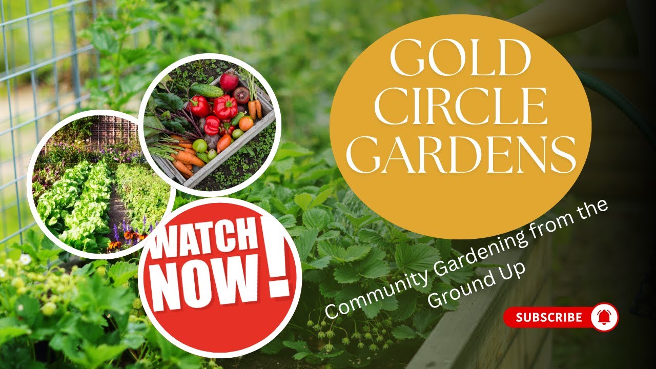 Building Our Garden from the Ground Up 🌱 | Fencing, Tilling & First Signs of Growth!