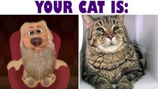 Talking Ben Becoming Old Your Cat Is Talking Ben