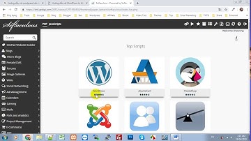 Hướng dẫn cài đặt WordPress trên hosting AZDIGI tự động
