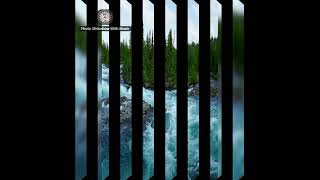 Natural wallpaper:Iland.( Photo slideshow 4k )