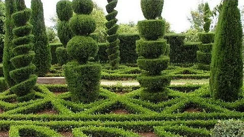 Фигурная стрижка кустов и деревьев.
