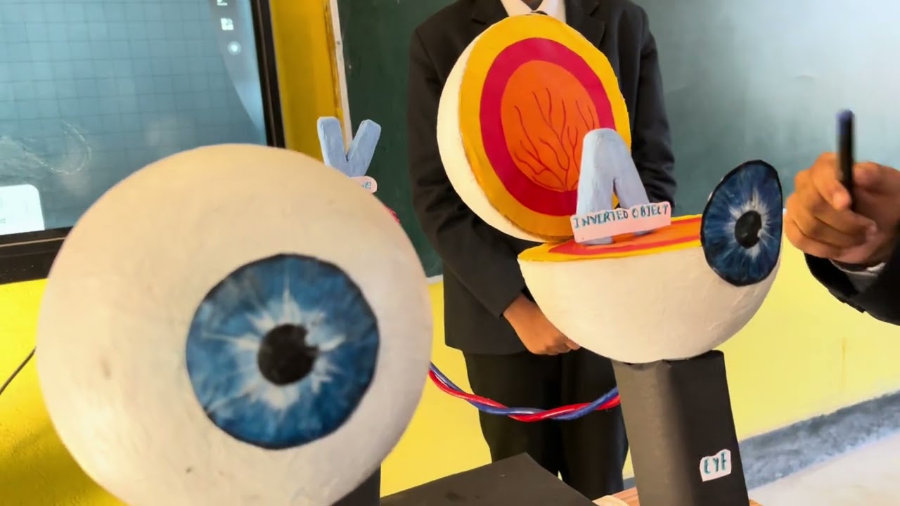 Working of Human Eye Model Demonstrates by Ritika and her Co. Class10. Students 