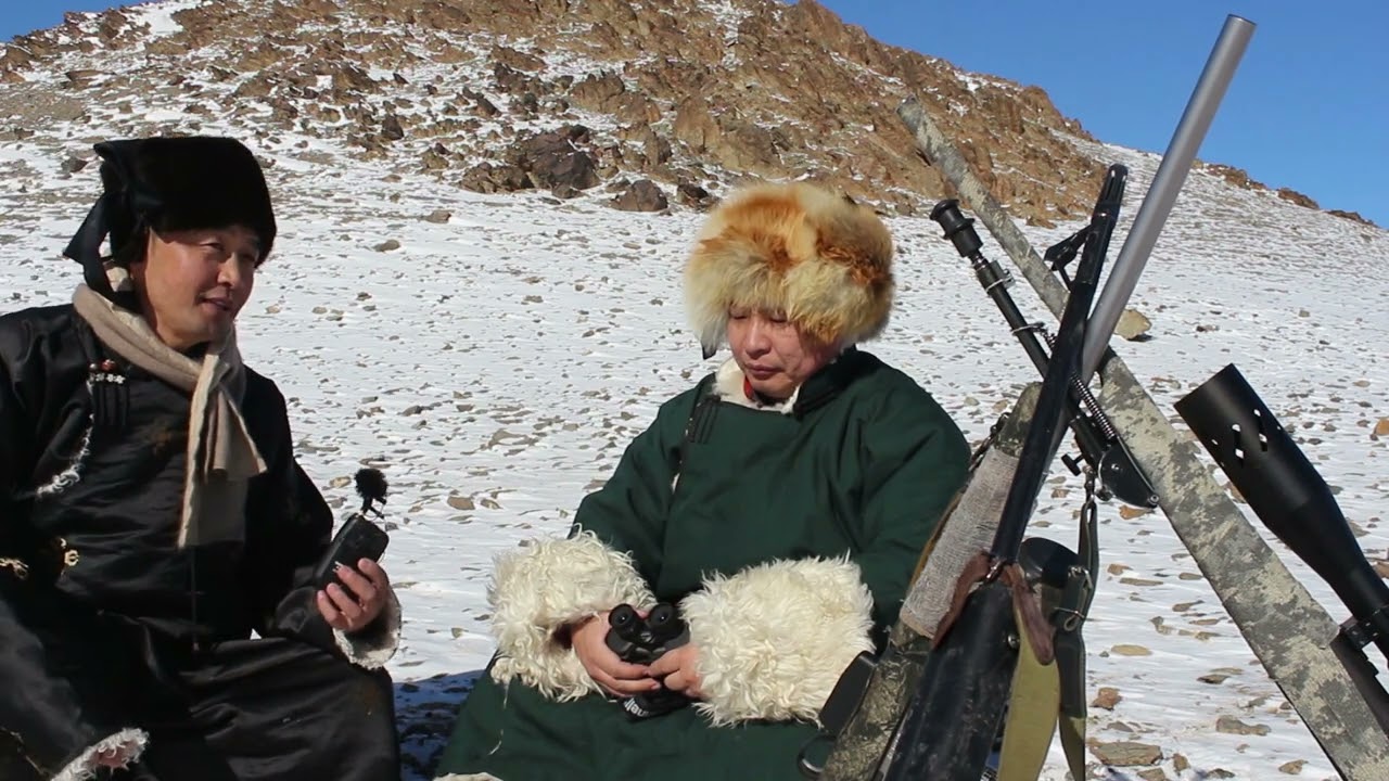 Хонгорын анчид khongoriin anchid