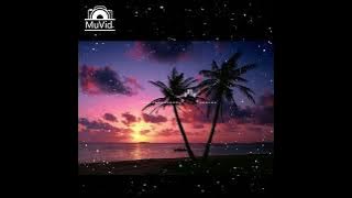 Bass Code v2 @dantugui7345