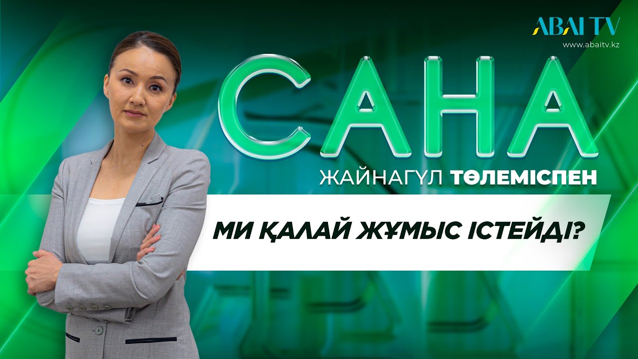 САНА. Ми қалай жұмыс істейді?