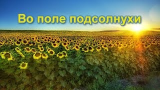 Уголок природы: Во поле подсолнухи (Grandwot - Великий Мир Путешествий)