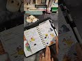 April Day designer pocket flip through