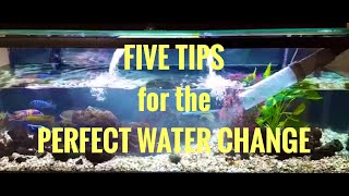 Five Tips for the Perfect Water Change [SIMPLE, FAST and EFFECTIVE]