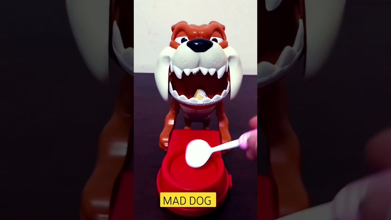 MAD DOG WITH A ONE SLICE OF MINI CAKE 