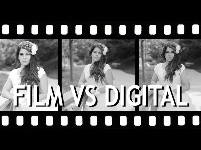Slide Film vs Color Negative: Portra 160, Provia 100F & Velvia 100