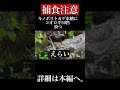 [捕食注意]キノボリトカゲテラリウムに大量のコオロギをぶち込む芸人#爬虫類#キノボリトカゲ#テラリウム#ヨーロッパイエコオロギ