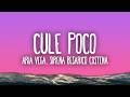 ARIA VEGA - CULE POCO (sirena_besarico_costeña)