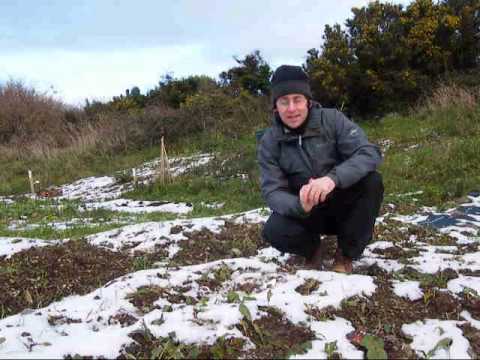 Tim Austen's allotment video diary: Introduction, January 2010 "Herbs and Raspberries!"