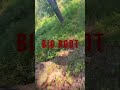Trail Ride