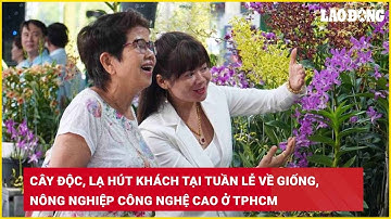 Cây độc, lạ hút khách tại tuần lễ về giống, nông nghiệp công nghệ cao ở TPHCM| Báo Lao Động