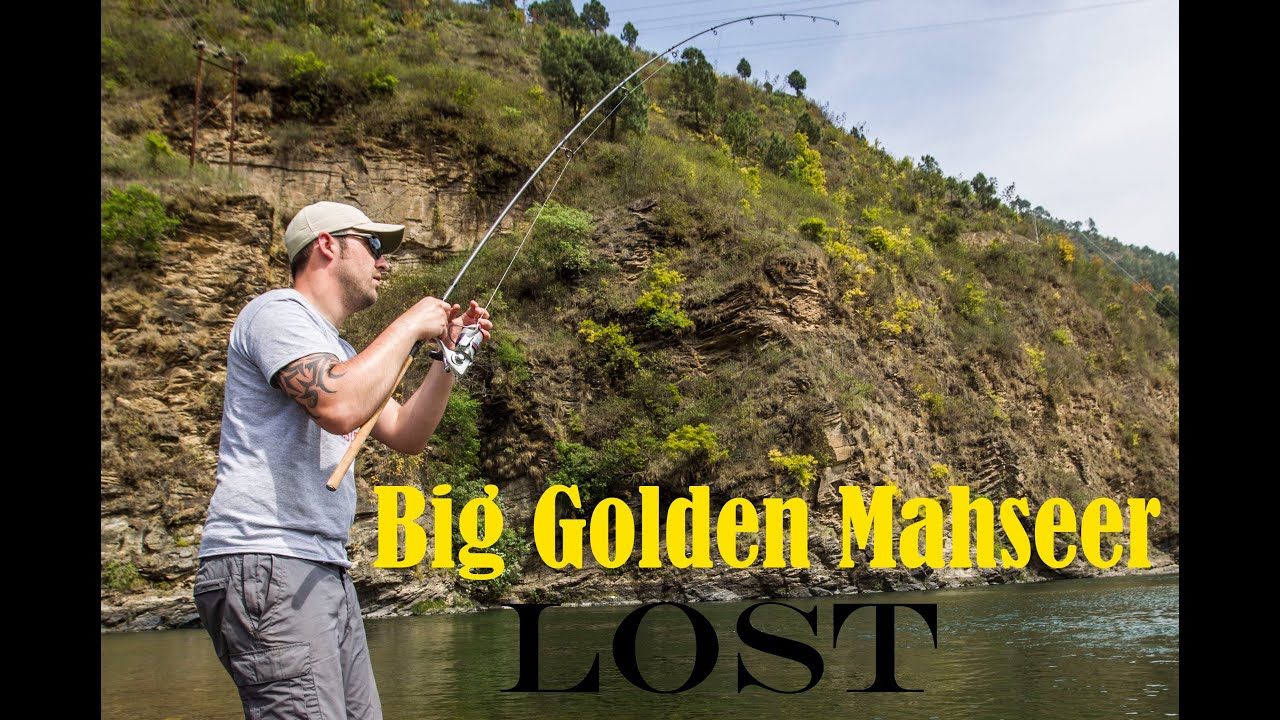 Big Golden Mahseer lost - Ramganga River. India.
