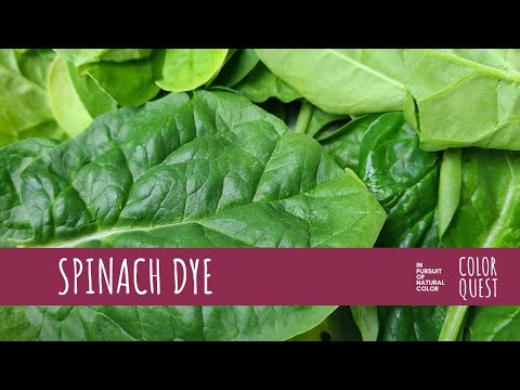 HOW TO MAKE NATURAL DYE WITH SPINACH, ORGANIC COLOR