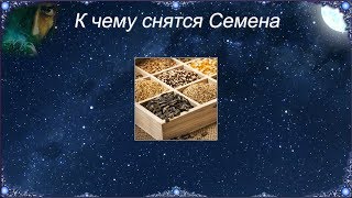 К чему снятся Семена (Сонник) К чему снятся Семена (Сонник)