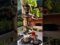 Sheki AzerbaijanЁЯЗжЁЯЗ Beautiful And Sunny DayтШХ Enjoy Tea New Video Sgorts Samovar Sheki AzerbaijanЁЯЗжЁЯЗ Beautiful And Sunny DayтШХ Enjoy Tea New Video Sgorts Samovar
