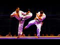 Glaube feitosa  kyokushin kickboxer