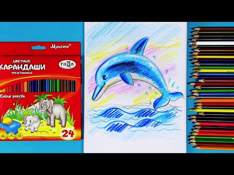 Рисуем ДЕЛЬФИНА цветными карандашами