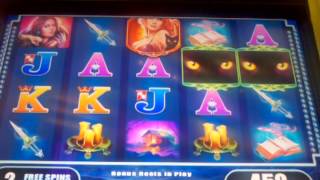 $5 MAX BET WMS Enchanted Darkness slot machine Free spins bonus screenshot 4