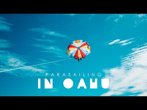 Video: Pesawat Bertema Penyu ANA Akan Melayani Honolulu Dari Tokyo