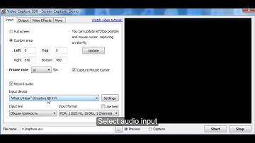 Video Capture SDK / SDK .Net - Screen preview