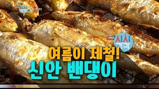 여름이 제철 - 신안 밴댕이