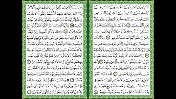 القرآن الكريم سورة التوبة ص 205 206