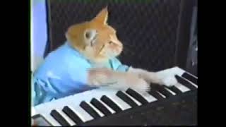 the keyboard wasn't plugged in Cat