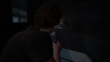 The Last of Us 2, New game+ w/ game modifiers