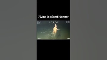 Unexplained Videos Caught On Camera: Spaghetti Monster #Shorts