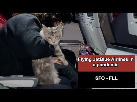 Видео: Летает ли JetBlue в SFO?