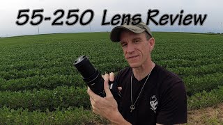 Canon 55-250 Lens - Field Test and Review (w/ Canon 90D)
