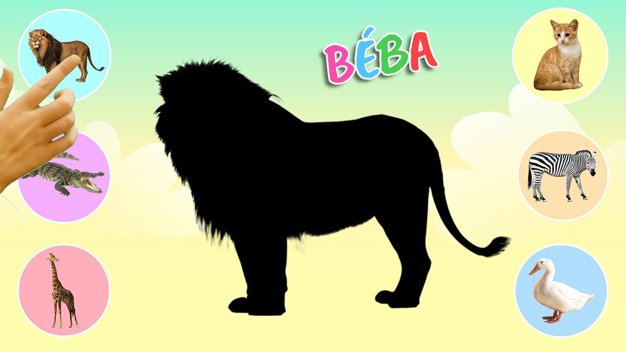 Béba - Poznávání zvířátek| Co je to za zvíře?| Naučné video pro děti|Výukové video