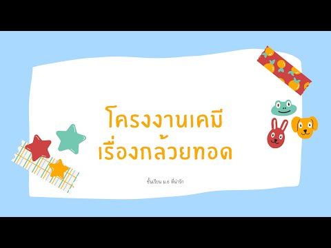 โครงงานเคมี ม.6/1 เทอม2 เรื่องโครงงานกล้วยทอด