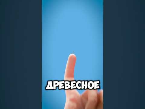 НИКОГДА НЕ ТРОГАЙТЕ ДРЕВЕСНОЕ ПОКРЫТИЕ