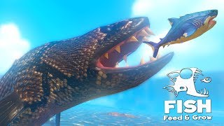 картинка: ГИГАНТСКАЯ РЫБА ЗМЕЯ В ОКЕАНЕ! МЕГАЛОДОН В ШОКЕ | Feed and Grow Fish