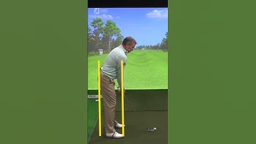 QUICK TIP#1 : The Guide to Perfect Posture... with Michael Breed