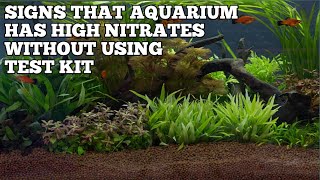 HOW TO KNOW IF AQUARIUM HAS HIGH IN NITRATES WITHOUT USING A TEST KIT
