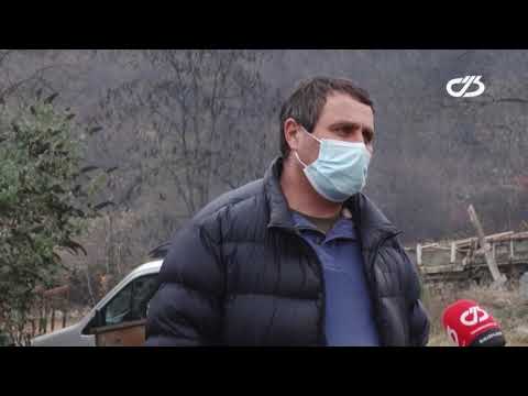 საქველმოქმედო კავშირი გრემი და კოვიდპანდემია