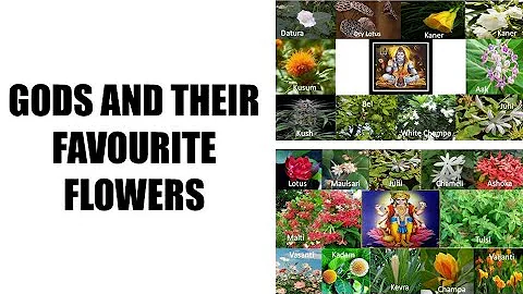 What was God's flower? (2023)