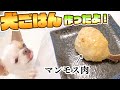 チワワさん、マンモス肉を食べて野生化【パパママ料理対決】